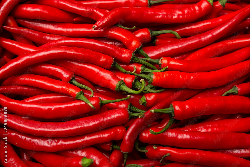 red hot chilli peppers red hot chilli peppers