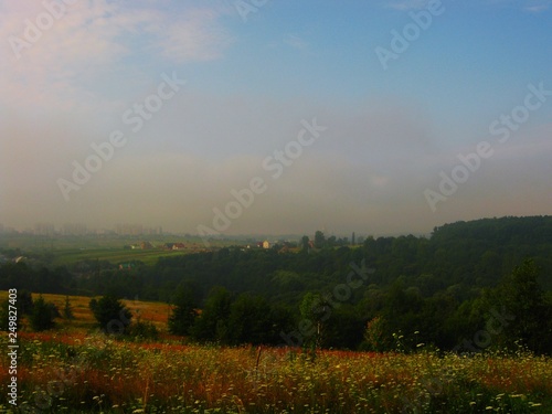 Beautiful summer landscape morning mist in the field