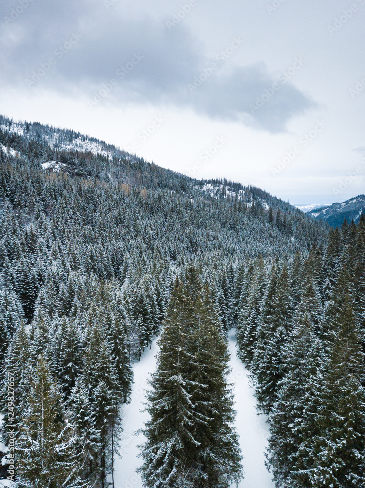 Aerial: Winter forest in Tatras mountains Aerial: Winter forest in Tatras mountains