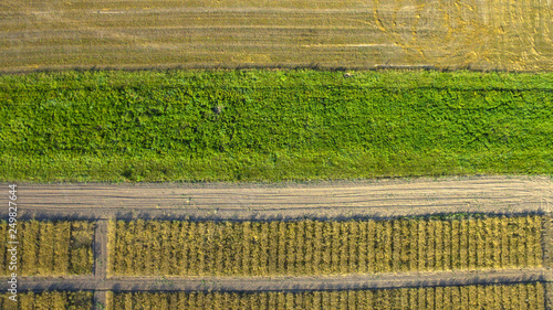 Top view on flat geometric areas of an agricultural field photo