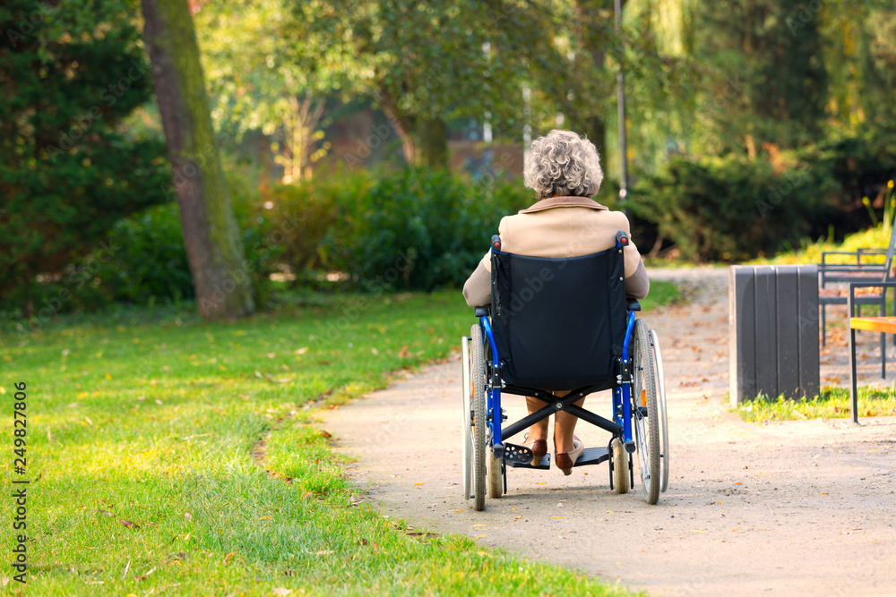 old woman on wheelchair in the park old woman on wheelchair in the park