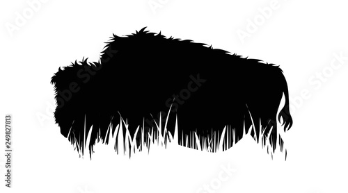 Illustration of buffalo icon in the grass. Vector silhouette on white background. Symbol of cattle.