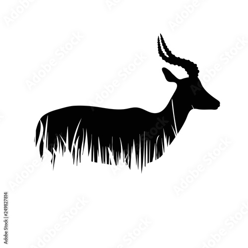 Illustration of antelope icon in the grass. Vector silhouette on white background.