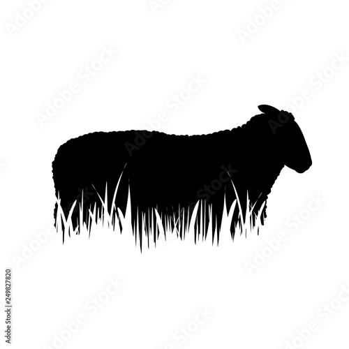 Illustration of sheep icon in the grass. Vector silhouette on white background. Symbol of cattle.