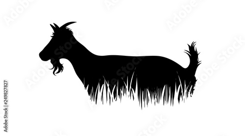 Illustration of goat icon in the grass. Vector silhouette on white background. Symbol of cattle.