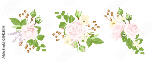 Watercolor Set of Roses and Floral Elements.