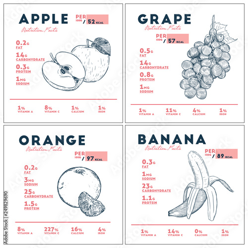 Nutrition fact of fruit. Hand drawn vector illustration.