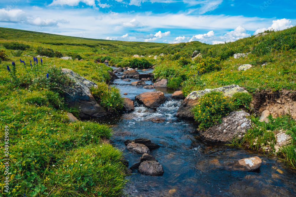 Spring water stream in green valley in sunny day. Rich highland flora. Amazing mountainous vegetation near mountain creek. Wonderful paradise scenic landscape. Paradisiacal sunny picturesque scenery. Spring water stream in green valley in sunny day. Rich highland flora. Amazing mountainous vegetation near mountain creek. Wonderful paradise scenic landscape. Paradisiacal sunny picturesque scenery.