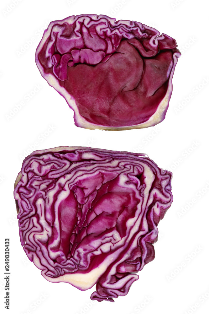 Cross section of red cabbage as a human brain isolated concept Cross section of red cabbage as a human brain isolated concept