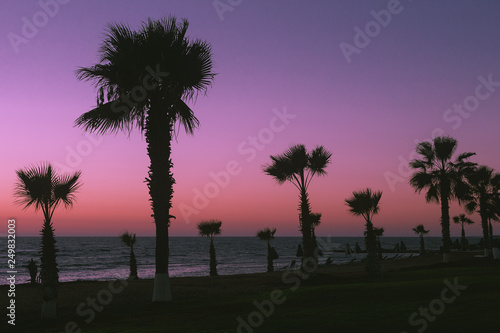 Paphos beach. Beautiful sunset on the background of palm trees.