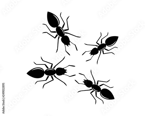 ant logo icon vector illustration design