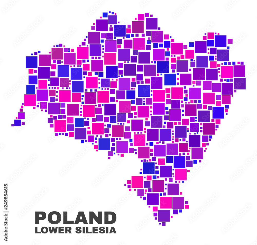 Mosaic Lower Silesian Voivodeship map isolated on a white background. Vector geographic abstraction in pink and violet colors.