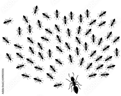 ant logo icon vector illustration design
