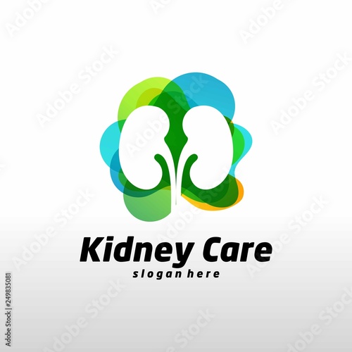 colorful kidney logo - Vector