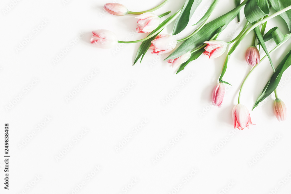 Flowers composition. Pink tulip flowers on white background. Valentines day, mothers day, womens day, spring, easter concept. Flat lay, top view, copy space