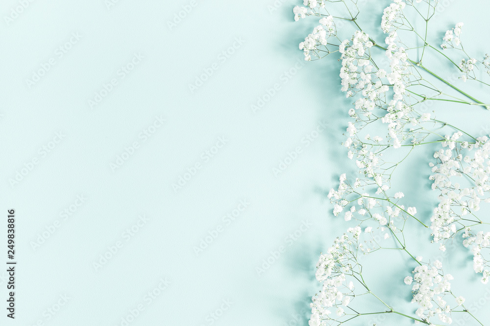 Obraz premium Flowers composition. Gypsophila flowers on pastel blue background. Flat lay, top view, copy space