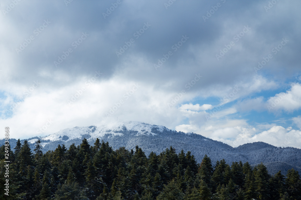 A snowy mountain top landscape with clouds and fir trees in the foreground