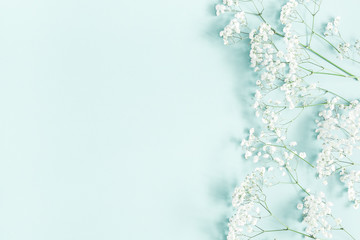 Flowers composition. Gypsophila flowers on pastel blue background. Flat lay, top view, copy space