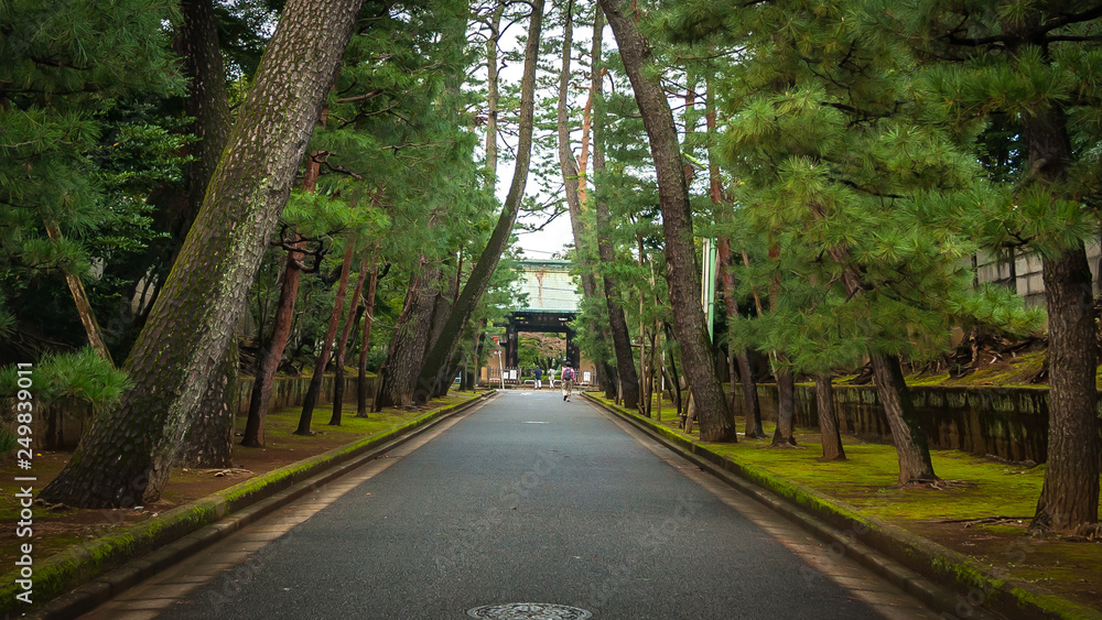 Landscape photo of the asphalt road right in front of the entrance of Gotokuji Temple, which is currently famous for its numerous maneki neko or Landscape photo of the asphalt road right in front of the entrance of Gotokuji Temple, which is currently famous for its numerous maneki neko or