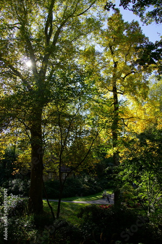 Herbst Stimmung im Park