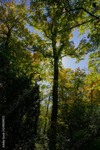 Herbst Stimmung im Park © Dominik