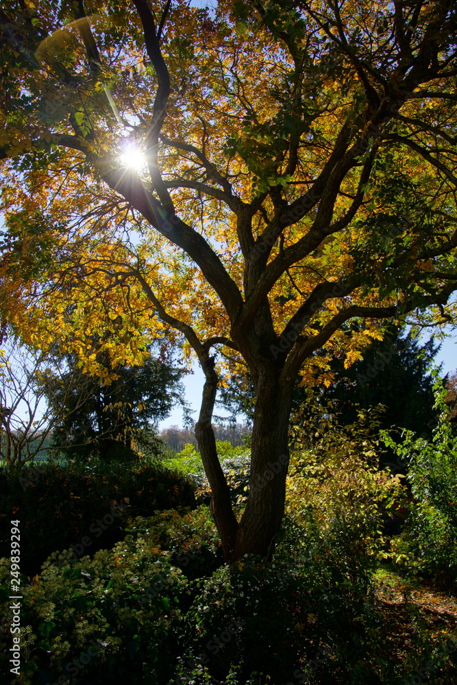 Obraz premium Herbststimmung