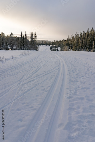 Ski winter tracks