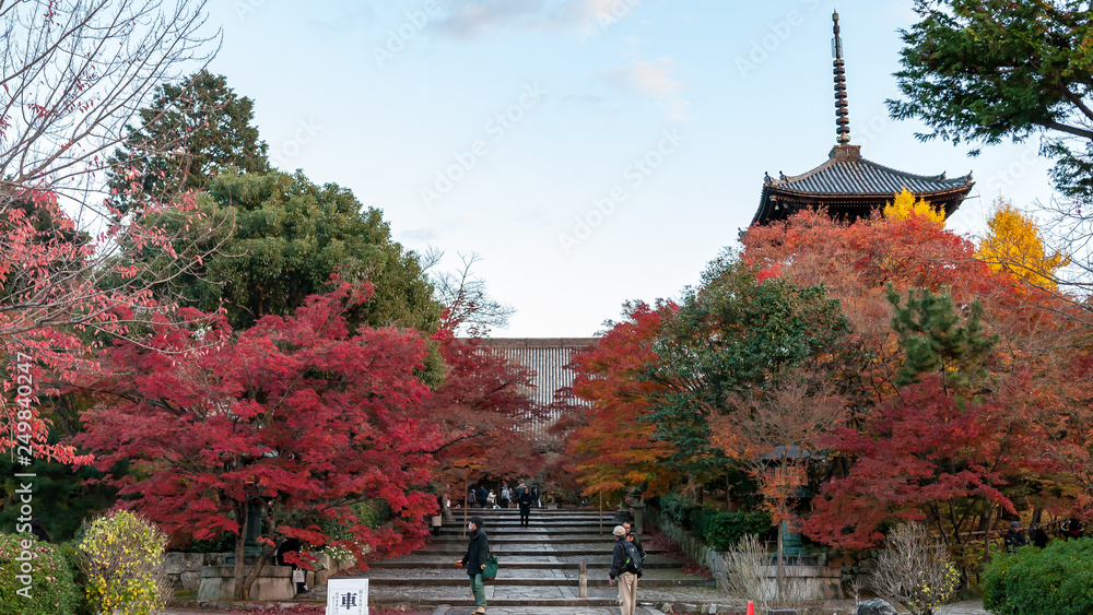 Φωτογραφία Japanese visitors seen walking on the stairs near the entrance of Shinnyodo Temple during the peak autumn foliage, with the top of the Shinnyodo Pagoda visible