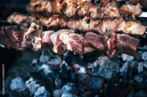 Shish kebab, fried meat. camping, opening season.