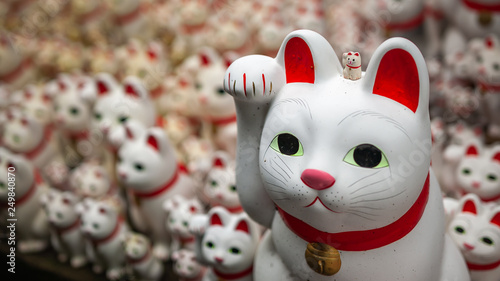 Numerous maneki-neko, or also known as 