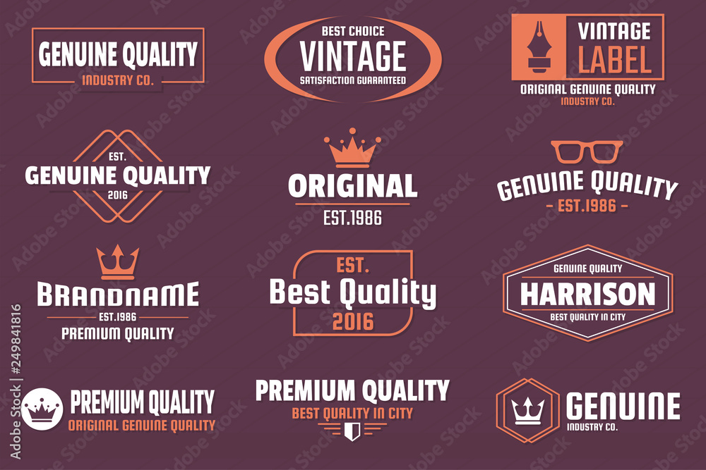 Vintage Retro Vector Logo for banner