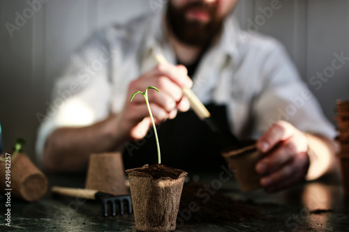 gardener hand sprout table