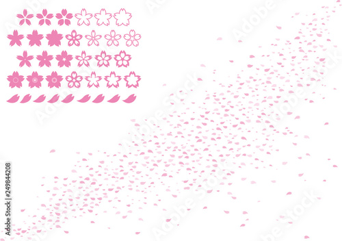 桜6d