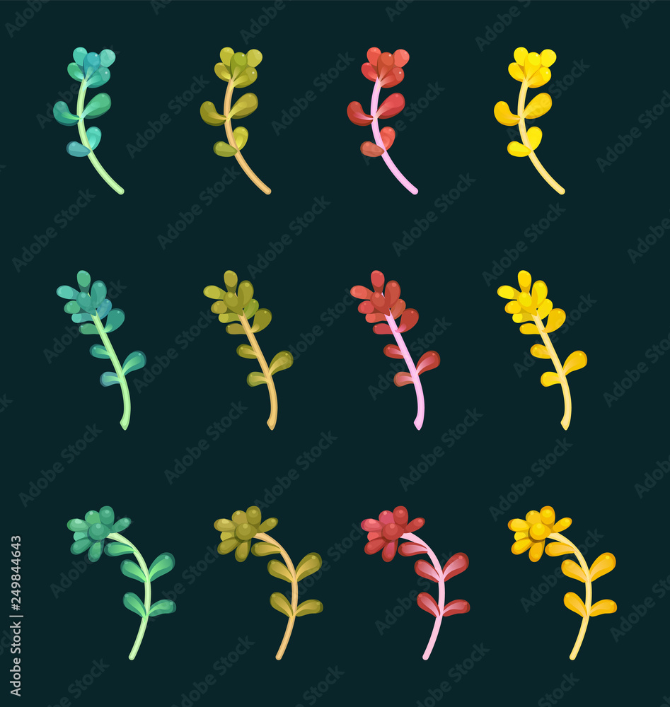 Set of multicolored decorative branches of succulents, vector illustration, can be used for greeting card or wedding invitation, natural cosmetics, health care, yoga center and other design