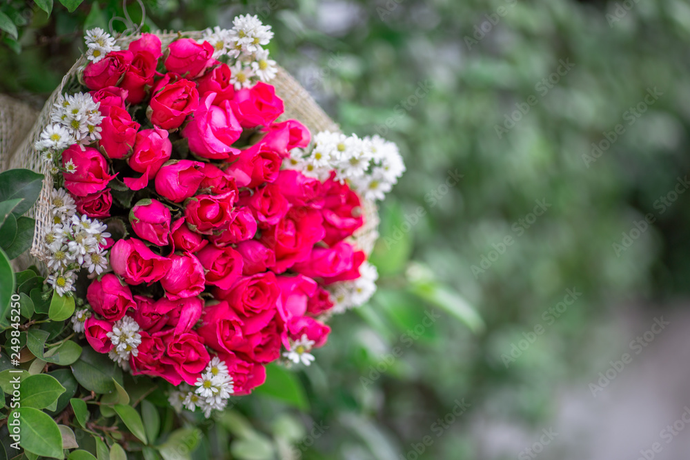 Wallpaper of flowers (roses) that are placed on chairs or wooden tables, to be displayed at festivals or on special occasions (Valentine, wedding, birthday, new year) Wallpaper of flowers (roses) that are placed on chairs or wooden tables, to be displayed at festivals or on special occasions (Valentine, wedding, birthday, new year)