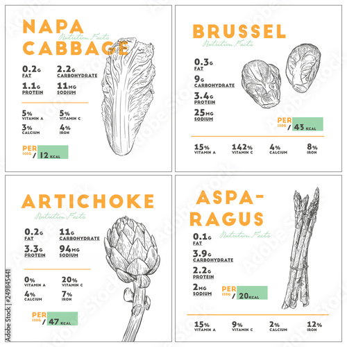 Set of vegetables nutition facts. hand draw sketch vector.