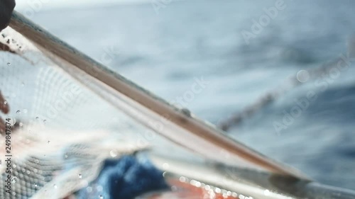 Fisherman getting fish from his net photo