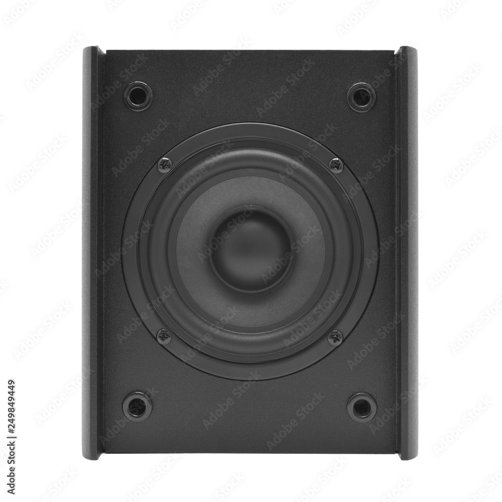 Audio speakers in wooden case. Isolated on white background.