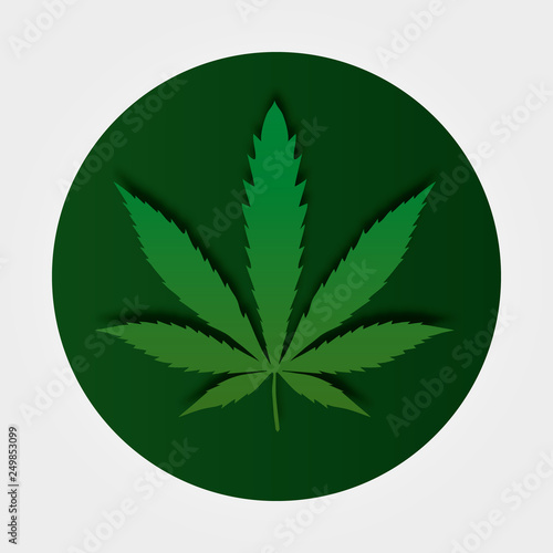 Cannabis leaf on dark green background