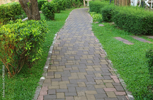 Stone Block Paved Walkway in the Greenery Garden