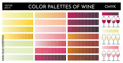 Illustration of wine color palette. Tones of different types of wine, red, white and pink. Graphic elements for designers.