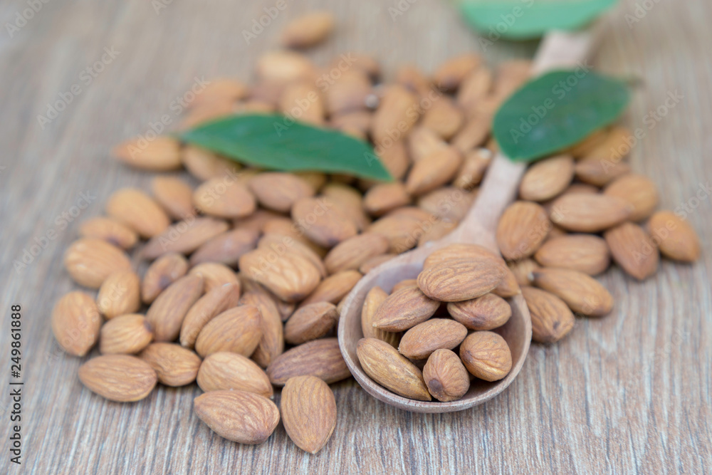 Macadamia nut on wood background. Macadamia nut on wood background.