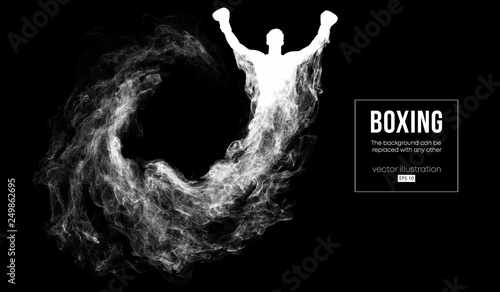 Abstract silhouette of a boxer, mma, ufc fighter on the dark, black background from particles, dust, smoke, steam. Boxer is winner. Background can be changed to any other. Vector illustration