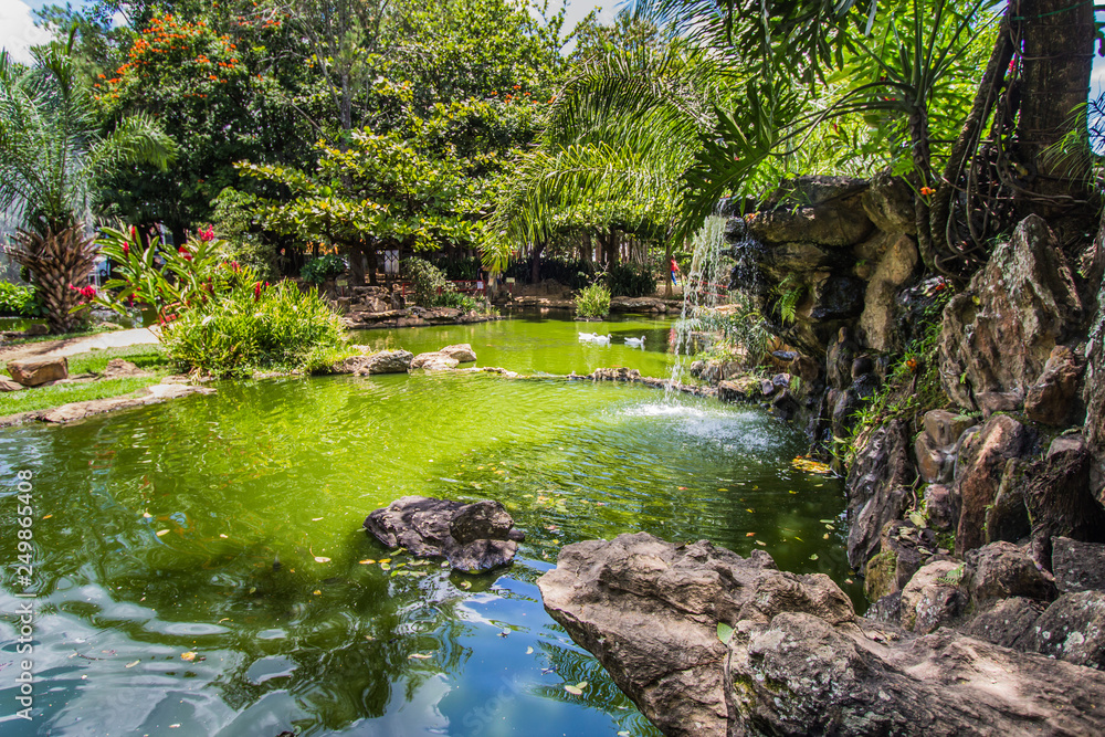This traditional ande beautiful japanese garden is located in brazilian Caldas Novas City