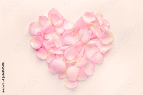 Fototapeta Naklejka Na Ścianę i Meble -  Heart of rose flower petals