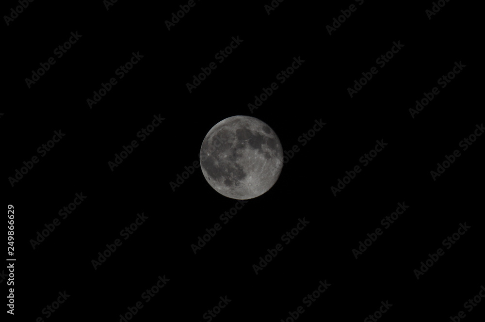 moon moon