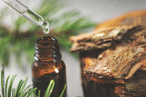 pine bark tincture dripping from glass pipette photo