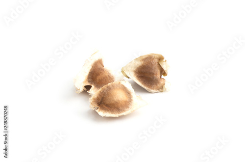 Moringa Oleifera seed dried on isolated white background with clipping path.