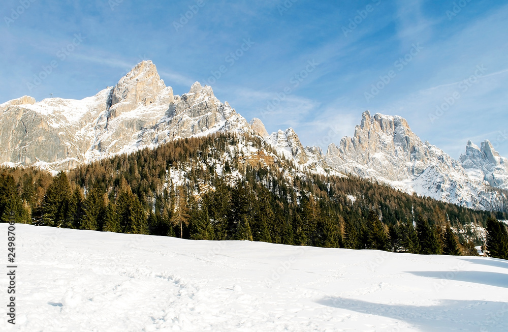 The Dolomites of Trentino winter,Italy,17 February 2019,San Martino di Castrozza, province of Trento,winter landscape,snow-capped mountains of the Dolomites