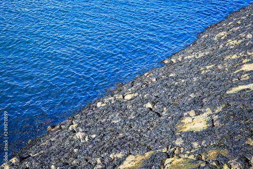 A view of where the ocean meets the shoreline